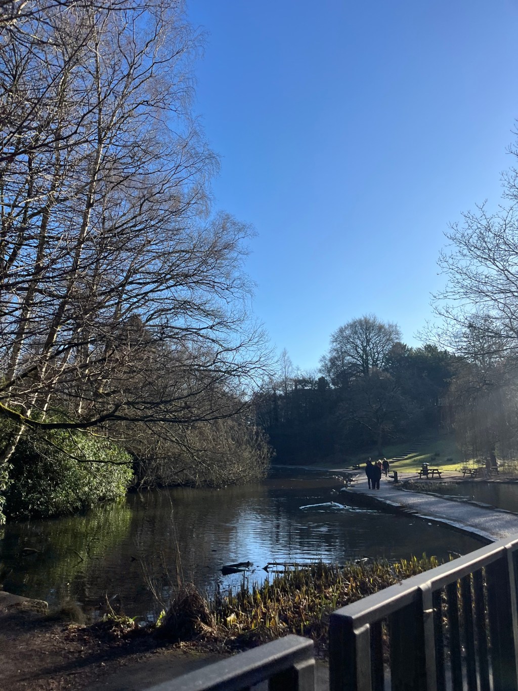 How Walking Can Help Beat the January&nbsp;Blues